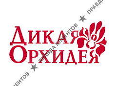 Дикая Орхидея